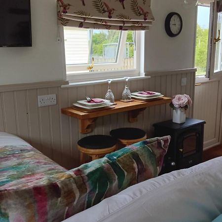 Shepherd Hut Bird Enniskillen, Fermanagh Εξωτερικό φωτογραφία
